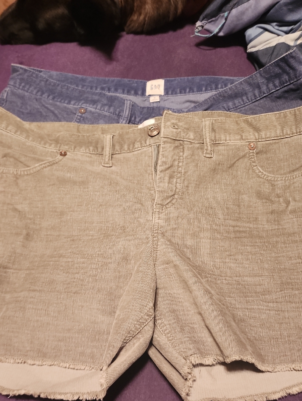 2 Pairs GAP Womens Corduroy Shorts in Olive and Denim Blue